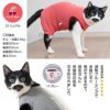 猫用シンプル袖なしつなぎ