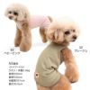 シンプルベア天袖なしお部屋着(ダックス・小型犬用)