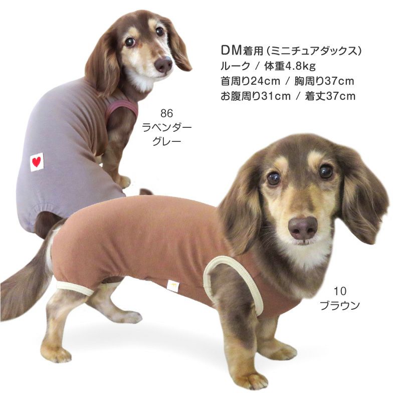 シンプルベア天袖なしお部屋着(ダックス・小型犬用)