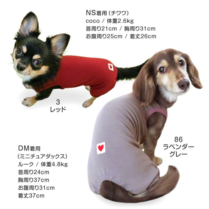 シンプルベア天袖なしお部屋着(ダックス・小型犬用)