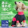 ドッグプレイ(R)撥水レインラッシュガード(ダックス・小型犬用)