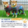 ドッグプレイ(R)撥水レインラッシュガード(ダックス・小型犬用)