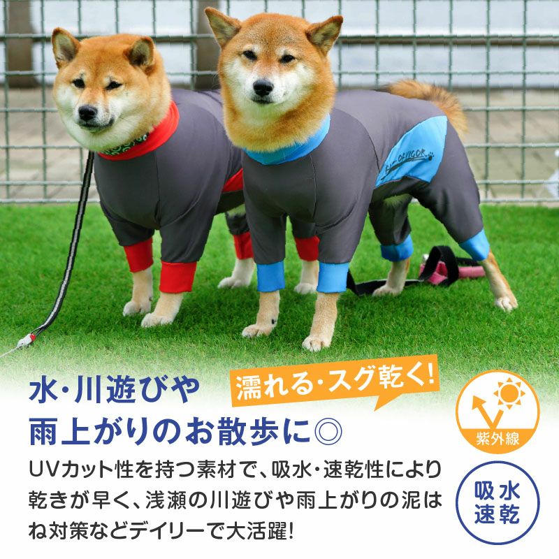ドッグプレイ(R)撥水レインラッシュガード(ダックス・小型犬用)