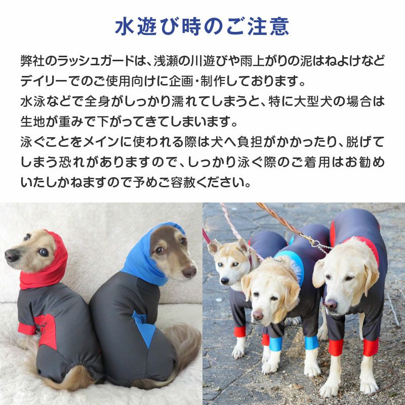 ドッグプレイ(R)撥水レインラッシュガード(ダックス・小型犬用)