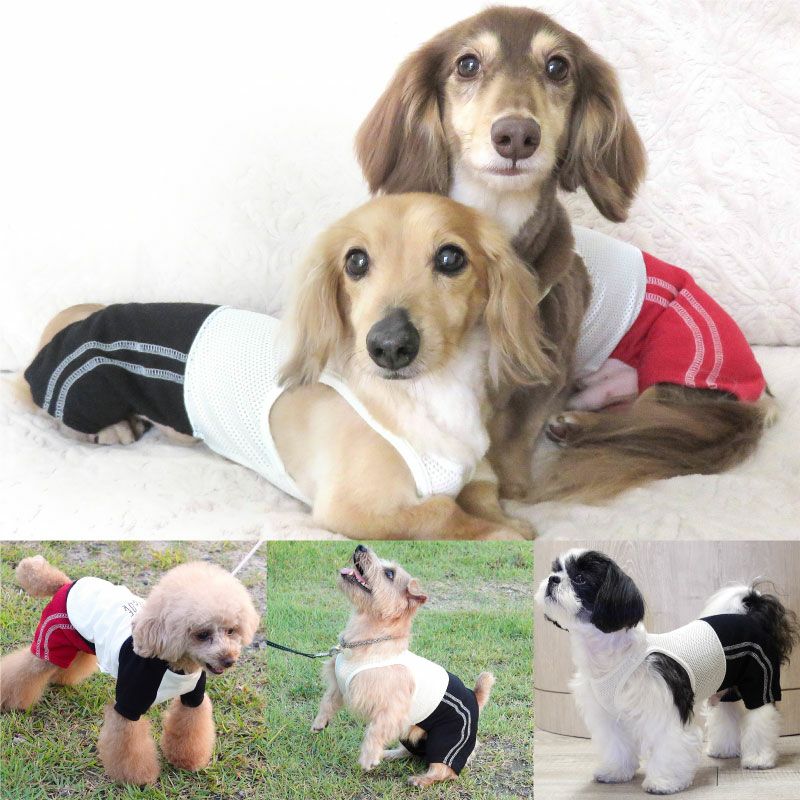 メッシュインナー付ダブルライン裏毛パンツ（ダックス・小型犬用）