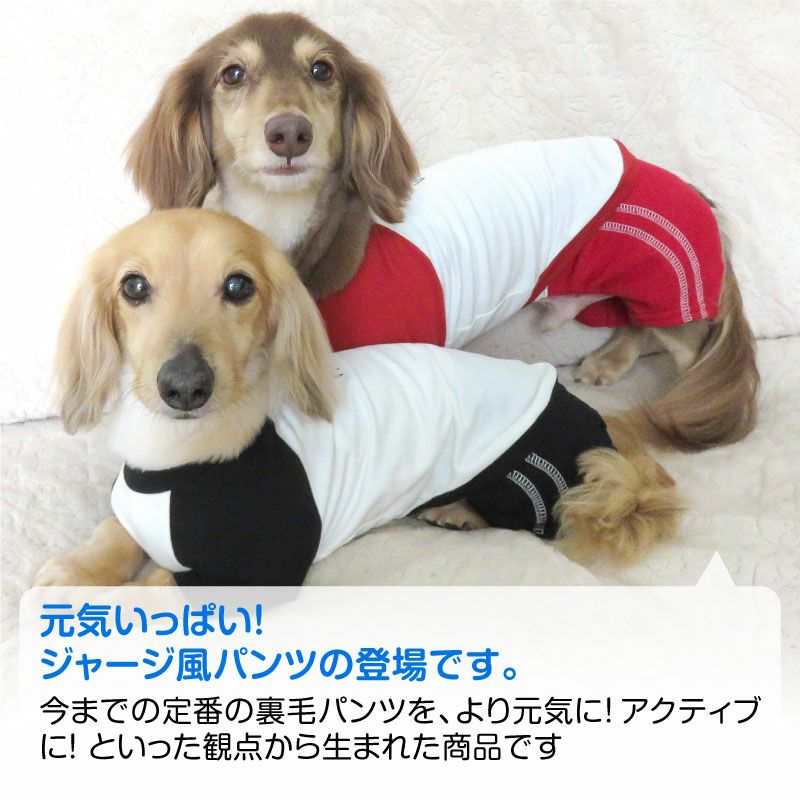 メッシュインナー付ダブルライン裏毛パンツ（ダックス・小型犬用）