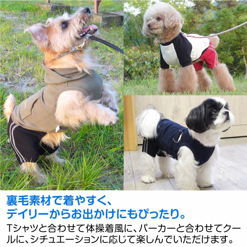 メッシュインナー付ダブルライン裏毛パンツ（ダックス・小型犬用）