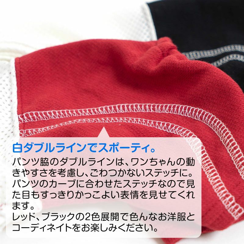 メッシュインナー付ダブルライン裏毛パンツ（ダックス・小型犬用）