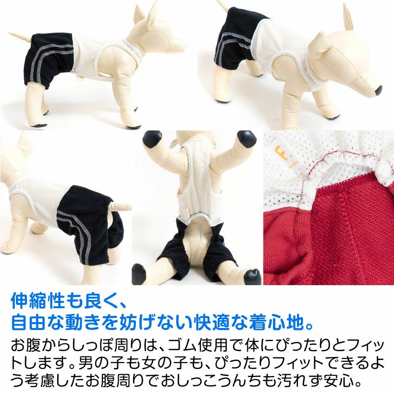 メッシュインナー付ダブルライン裏毛パンツ（ダックス・小型犬用）