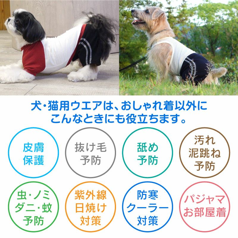 メッシュインナー付ダブルライン裏毛パンツ（ダックス・小型犬用）