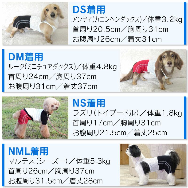 メッシュインナー付ダブルライン裏毛パンツ（ダックス・小型犬用）
