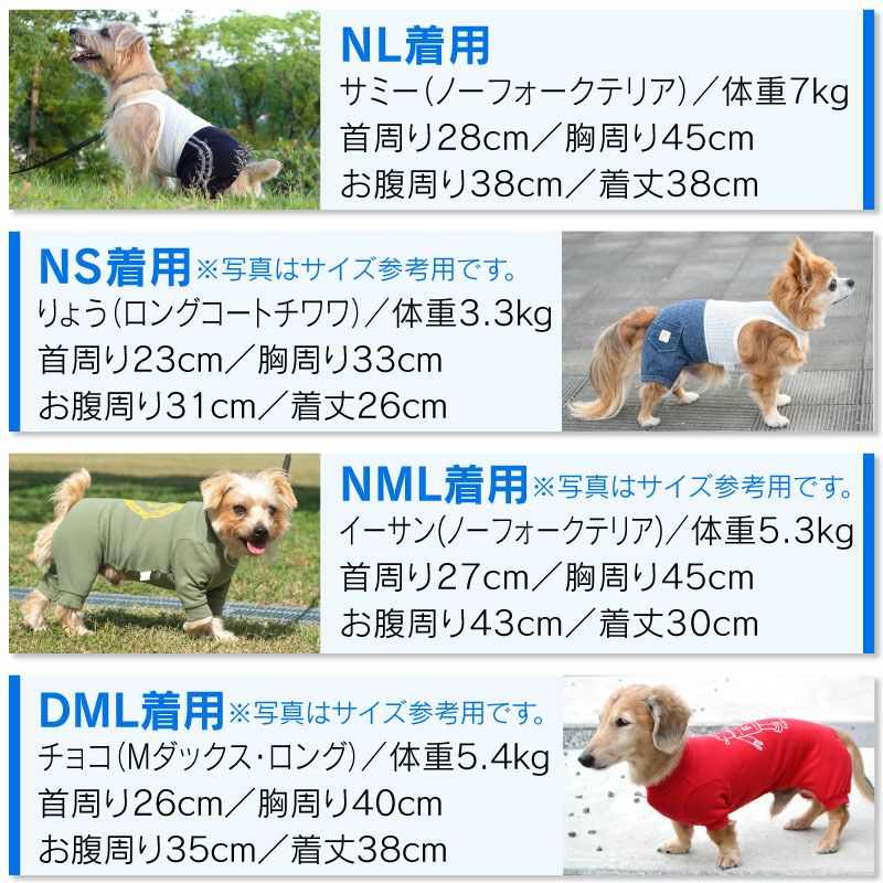 メッシュインナー付ダブルライン裏毛パンツ（ダックス・小型犬用）