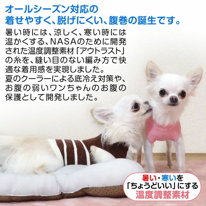 温度調整機能素材のハイネック腹巻 ネコポス値2 犬猫の服の通販フルオブビガー本店