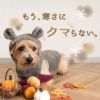 うさ耳ふわもこボアパーカー（ダックス・小型犬用）
