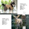 うさ耳ふわもこボアパーカー（ダックス・小型犬用）