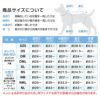温度調整機能付き長袖スキンウエア（R)