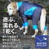 ドッグプレイ(R)撥水ラッシュガード(中型犬用)