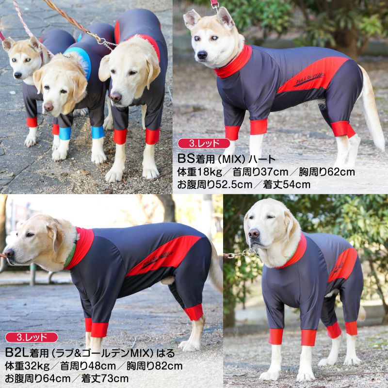 中型犬＆小型犬服 ラッシュガード＆タンクトップ 【専用】-