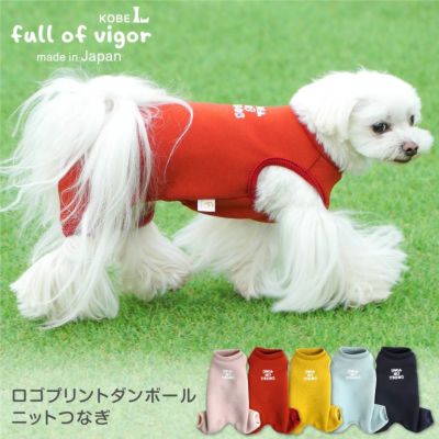 ロゴプリントダンボールニットつなぎ（ダックス・小型犬用）