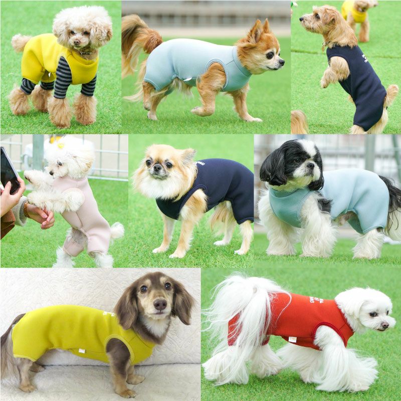 ロゴプリントダンボールニットつなぎ（ダックス・小型犬用）