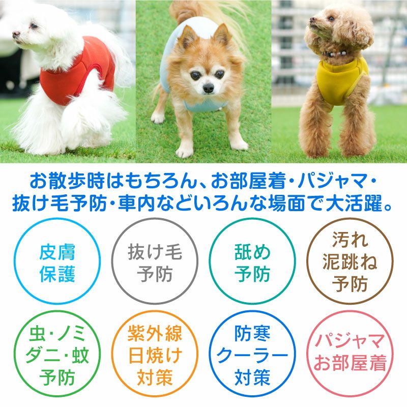 ロゴプリントダンボールニットつなぎ（ダックス・小型犬用）
