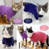 猫用温度調整機能付き長袖スキンウエア(R)