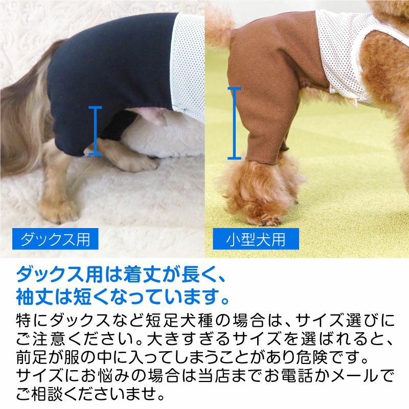 犬 靴 販売 スパッツ