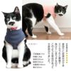 猫用ネック保護スキンウエア(R)