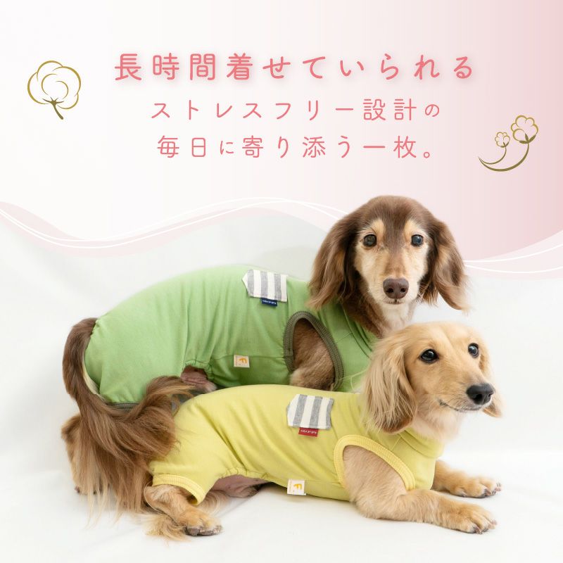 ボーダーポケットベア天袖なしお部屋着(ダックス・小型犬用)