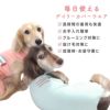 ボーダーポケットベア天袖なしお部屋着(ダックス・小型犬用)