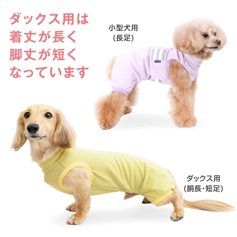 ボーダーポケットベア天袖なしお部屋着(ダックス・小型犬用)