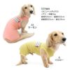 ボーダーポケットベア天袖なしお部屋着(ダックス・小型犬用)