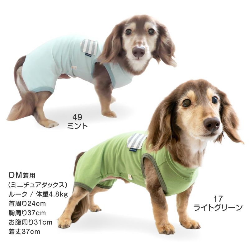 ボーダーポケットベア天袖なしお部屋着(ダックス・小型犬用)