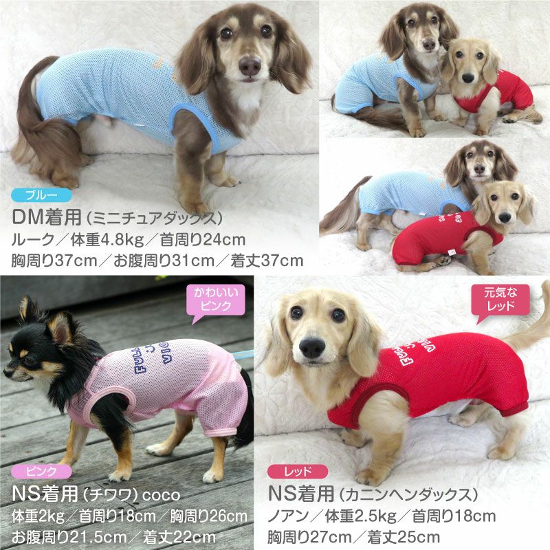 イラストロゴプリントメッシュつなぎ(ダックス・小型犬用)