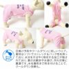 イラストロゴプリントメッシュつなぎ(ダックス・小型犬用)