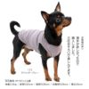 シンプルベア天インナータンク(ダックス・小型犬用)