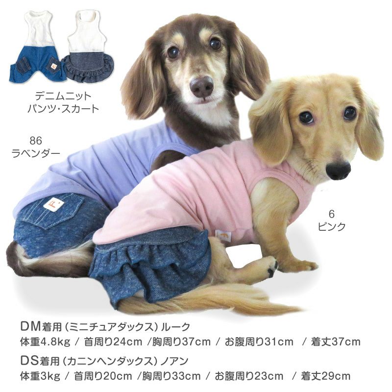 シンプルベア天インナータンク(ダックス・小型犬用)