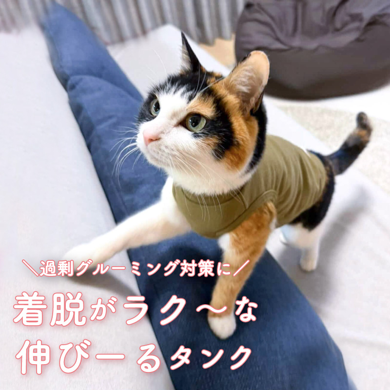 猫用シンプルベア天インナータンク