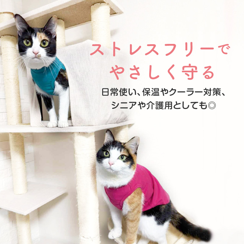 猫用シンプルベア天インナータンク