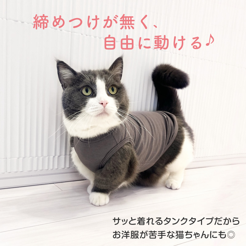 猫用シンプルベア天インナータンク