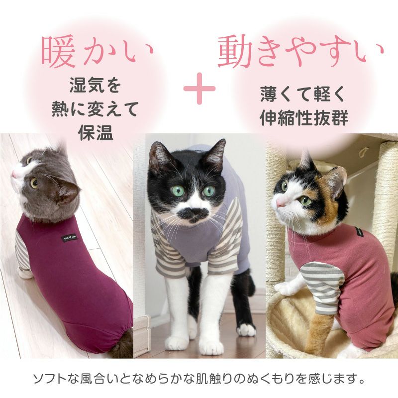 2021年秋冬新作】猫用ウォームボーダー長袖つなぎ【ネコポス値3】 | 犬猫の服の通販フルオブビガー本店