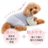 ウォームボーダー長袖つなぎ(ダックス・小型犬用)