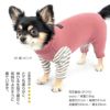 ウォームボーダー長袖つなぎ(ダックス・小型犬用)