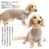 ウォームボーダー長袖つなぎ(ダックス・小型犬用)