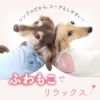 ハートふわもこボアアップリケフリースタンク(ダックス・小型犬用）
