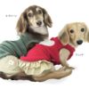 ハートふわもこボアアップリケフリースタンク(ダックス・小型犬用）