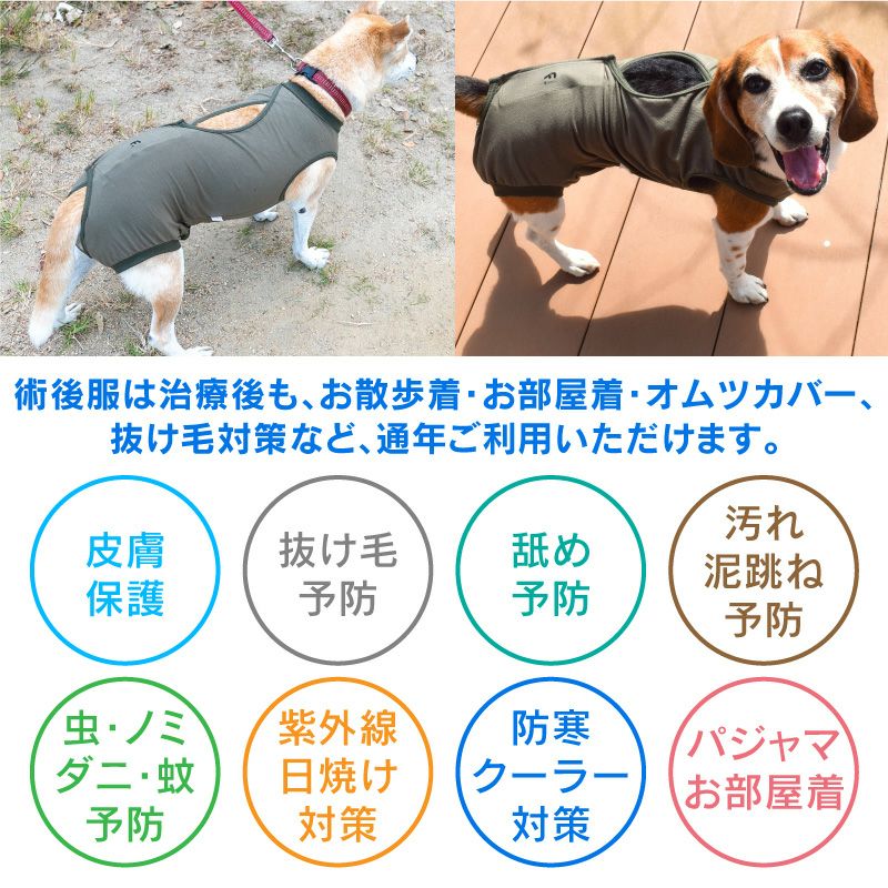 F.ベア天竺術後服エリザベスウエア(R)(男の子/中型犬用/伸縮性素材) | 犬猫の服の通販フルオブビガー本店