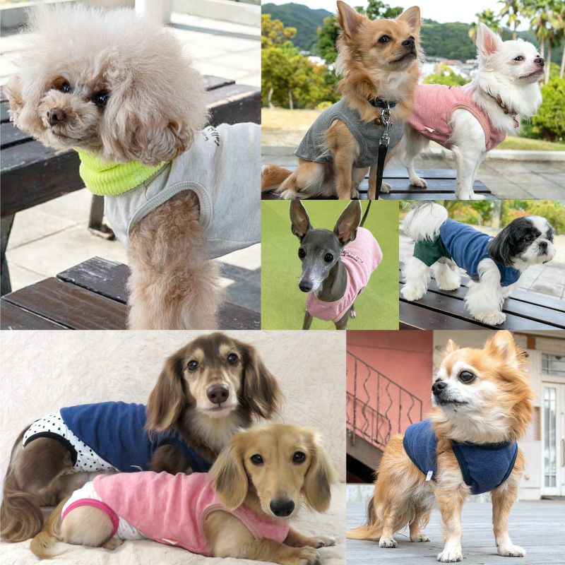 中空糸あったかインナータンク(ダックス・小型犬用)