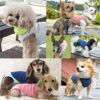 中空糸あったかインナータンク(ダックス・小型犬用)
