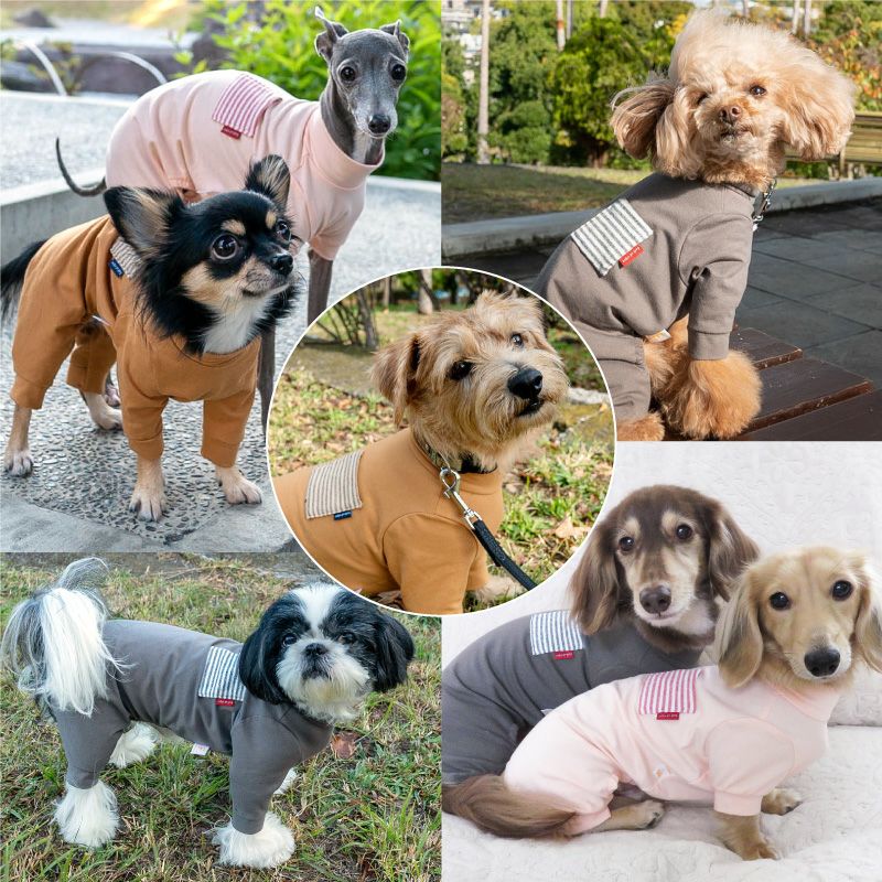 ボーダーポケットベア天長袖お部屋着(ダックス・小型犬用)